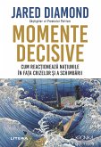 Momente Decisive (eBook, ePUB)