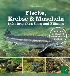 Fische, Krebse & Muscheln in heimischen Seen und Flüssen - Hauer, Wolfgang