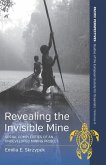 Revealing the Invisible Mine (eBook, ePUB)