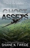 Ghost Assets (eBook, ePUB)
