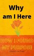 Why am I Here (eBook, ePUB) - Bild 1