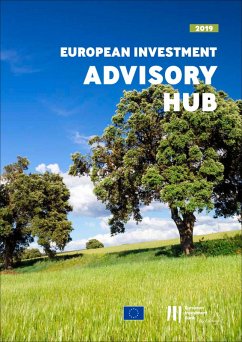 Cover European Investment Bank Annual Report 2019 on the European Investment Advisory Hub (eBook, ePUB)