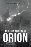 Thirteen Months of Orion