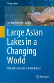 Large Asian Lakes in a Changing World (eBook, PDF)