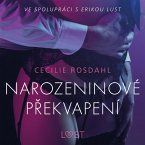 Narozeninové překvapení - Erotická povídka (MP3-Download)