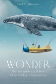 Wonder (eBook, PDF)