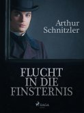 Flucht in die Finsternis (eBook, ePUB)