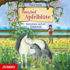 Sternchen und ein Geheimnis / Ponyhof Apfelblüte Bd.7 (MP3-Download)