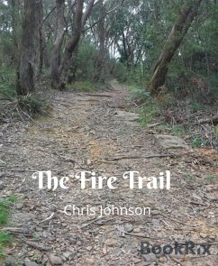 The Fire Trail (eBook, ePUB) - Johnson, Chris