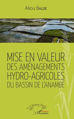 Mise en valeur des aménagements hydro-agricoles du bassin de l'Anambé - Baldé, Aliou