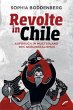 Revolte in Chile - Bild 1