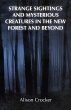 Strange Sightings and Mysterious... - Bild 1