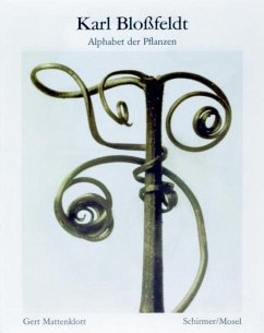 Alphabet der Pflanzen - Bloßfeldt, Karl