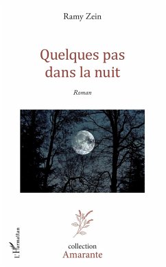 Quelques pas dans la nuit - Zein, Ramy