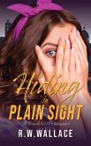 Hiding in Plain Sight (French Office Romance, #2) (eBook, ePUB)