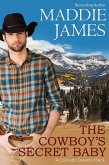 The Cowboy's Secret Baby (Colorado Dreamin', #3) (eBook, ePUB)