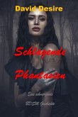 Schlagende Phantasien (eBook, ePUB)