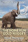 The Home Run Gold Nugget (eBook, ePUB)