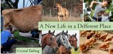 A New Life in a Different Place (eBook, ePUB)