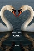 C'art (eBook, ePUB)