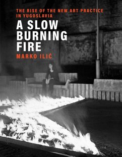 A Slow Burning Fire (eBook, ePUB) - Ilic, Marko