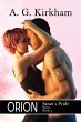 Orion - Bild 1