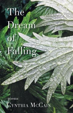 The Dream of Falling - McCain, Cynthia