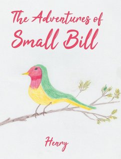 Cover The Adventures of Small Bill