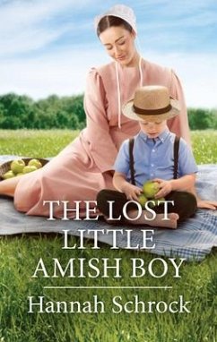 The Lost Little Amish Boy - Schrock, Hannah