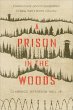 A Prison in the Woods - Bild 1