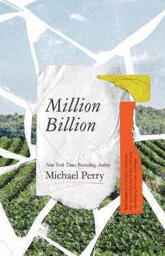 Million Billion: Brief Essays on Snow Days, Spitwads, Bad Sandwiches, Dad Socks, Hairballs, Headbanging Bird Love, and Hope. - Perry, Michael