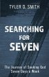 Searching for Seven - Bild 1