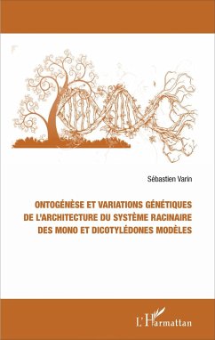 Ontogénèse et variations génétiques de l'architecture du système racinaire des mono et dicotylédones modèles - Varin, Sébastien