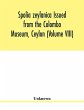 Spolia zeylanica Issued from the... - Bild 1
