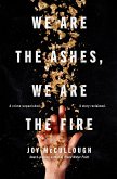 We Are the Ashes, We Are the Fire (eBook, ePUB)