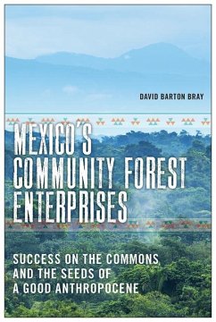 Mexico's Community Forest Enterprises: Success on the Commons and the Seeds of a Good Anthropocene - Bray, David Barton
