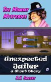 Unexpected Jailer: a Short Story (The Mommy Mysteries, #5) (eBook, ePUB)