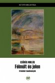 Félmúlt és jelen (eBook, ePUB)