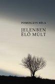 Jelenben élő múlt (eBook, ePUB)