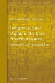 Indigenous Land Rights in the Inter-American System: Substantive and Procedural Law