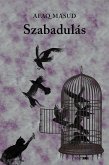 Szabadulás (eBook, ePUB)