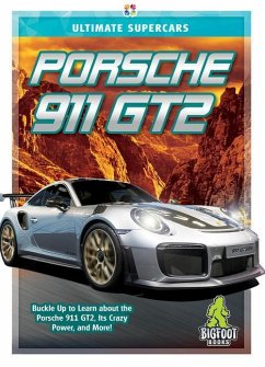 Porsche 911 GT2 - Perritano, John