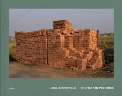History in Pictures - Sternfeld, Joel
