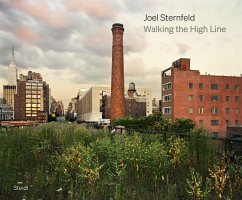 Walking the High Line - Sternfeld, Joel