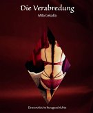 Die Verabredung (eBook, ePUB)