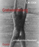 Gratwanderung (eBook, ePUB)