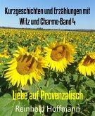 Kurzgeschichten und Erzählungen mit Witz und Charme-Band 4 (eBook, ePUB)