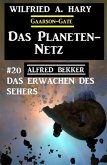 Das Planeten-Netz 20: Das Erwachen des Sehers (eBook, ePUB)