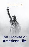 The Promise of American Life (eBook, ePUB)