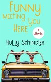 Funny Meeting You Here: 6 Shorts (The Funny Thing Is..., #1) (eBook, ePUB)